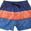 Quiksilver Men's Floral Panel 17" Volley Shorts For Men True Navy -Quiksilver sale2022 unnamed file 224
