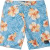 Quiksilver Men's D Everyday Classic Floral 20" Board Shorts For Men Seaport -Quiksilver sale2022 unnamed file 490